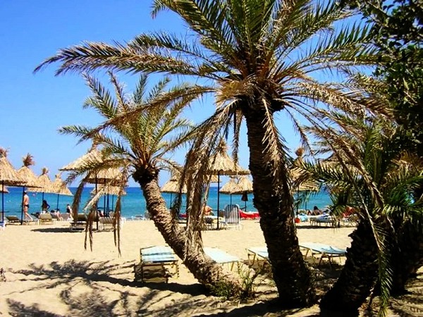 Vai Palm Beach - Lasithi - Crete